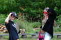 [image0045.jpeg]
