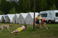 [image0387.jpeg]