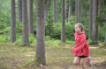 [image0400.jpeg]
