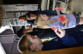 [image0509.jpeg]