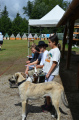 [image0840.jpeg]
