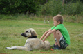 [image0889.jpeg]